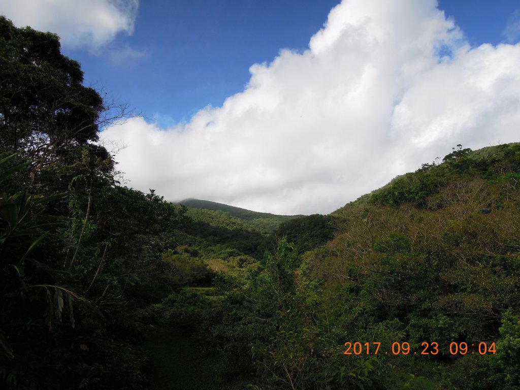 20170923_草嶺古道_868255