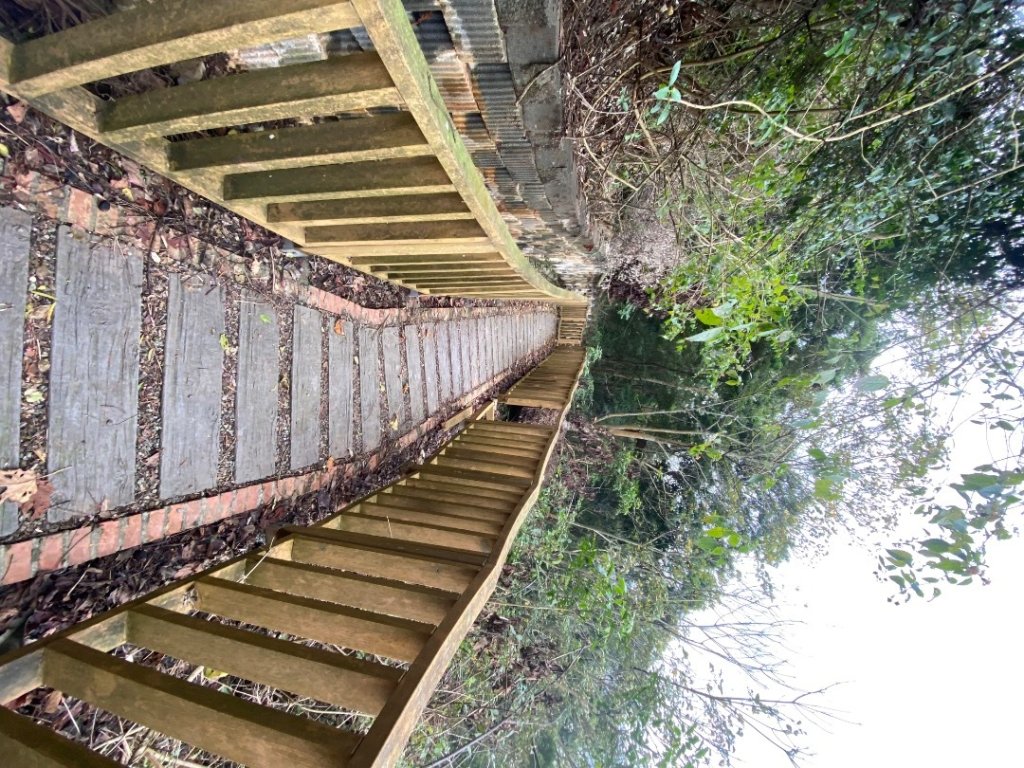 苗栗三義-三員縱走_2616493