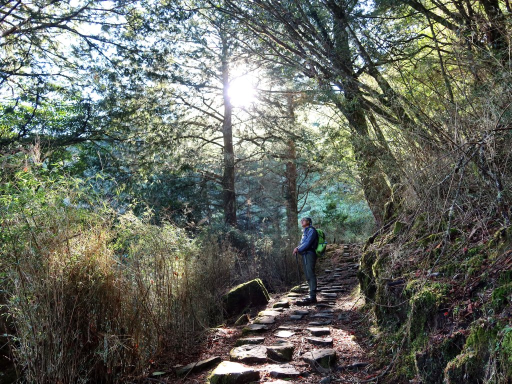 鹿林山+石水山+東埔山 20240402_2481617