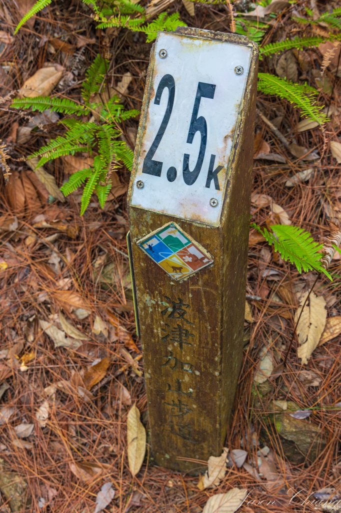 谷關七雄_波津加山_2977576