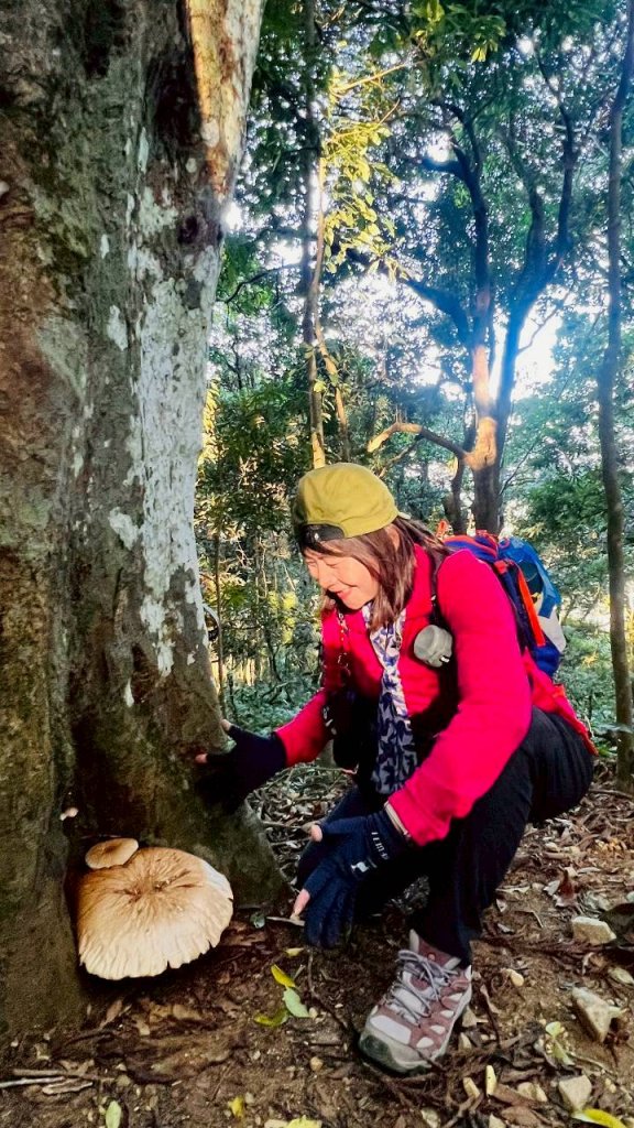 🌈11/9(日)高島縱走~高台山連走島田山山徑✨FB：熊熊趴爬走🌈_2932506