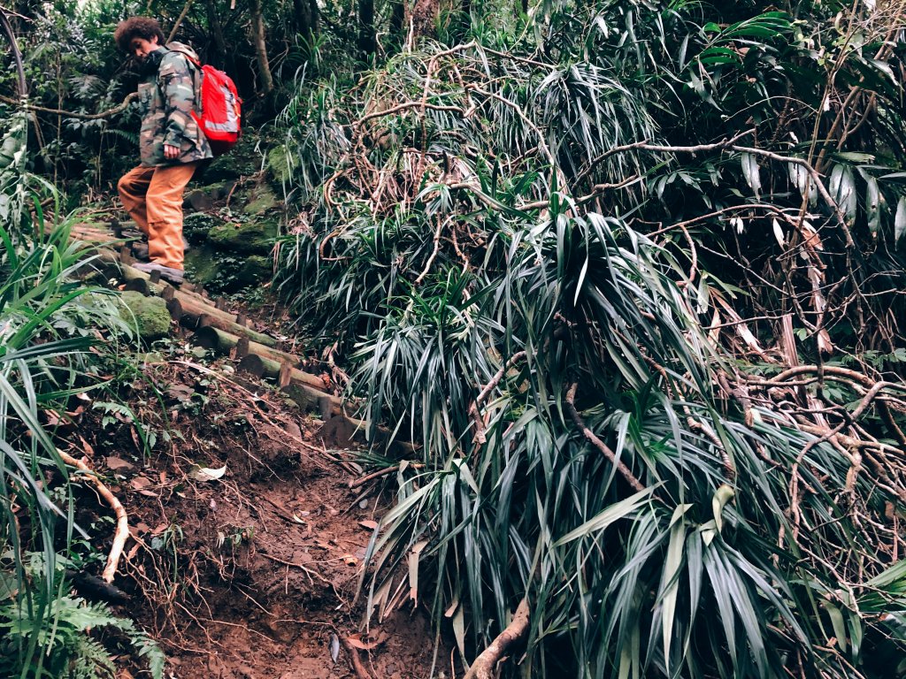 鴨寶｜淡蘭中路：十分─泰平_1243731