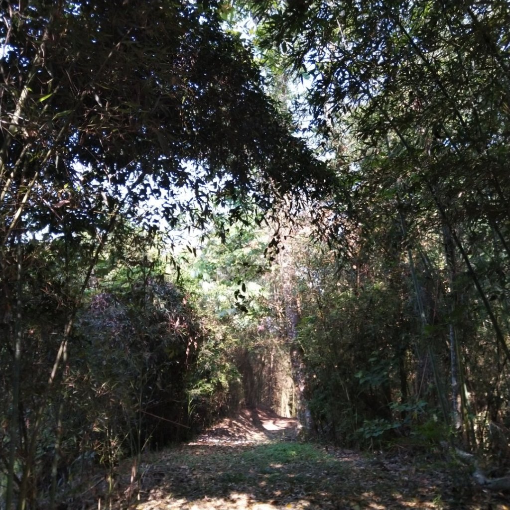 八通關古道社寮段_566487