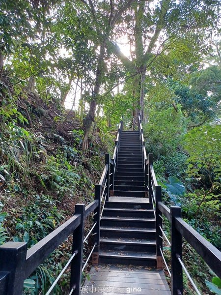 【台中北屯】第一次遇上大坑步道群起霧。 大坑三號步道_2695124