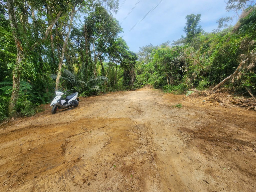 20250419蕩跋山劉家界山老社寮山新富山_2936218
