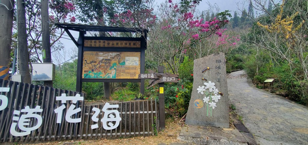 2023-12-02梅峰古道、獵鷹尖一線天步道、伍龍步道環行一圈_2367059