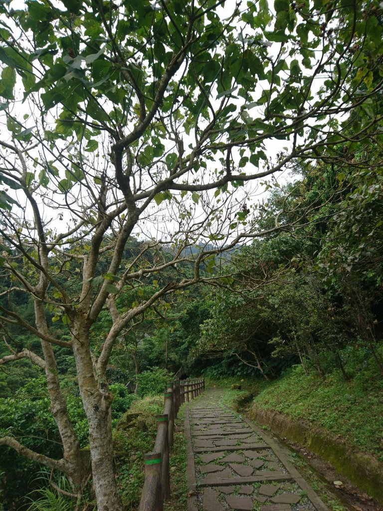 豹山溪步道_565988