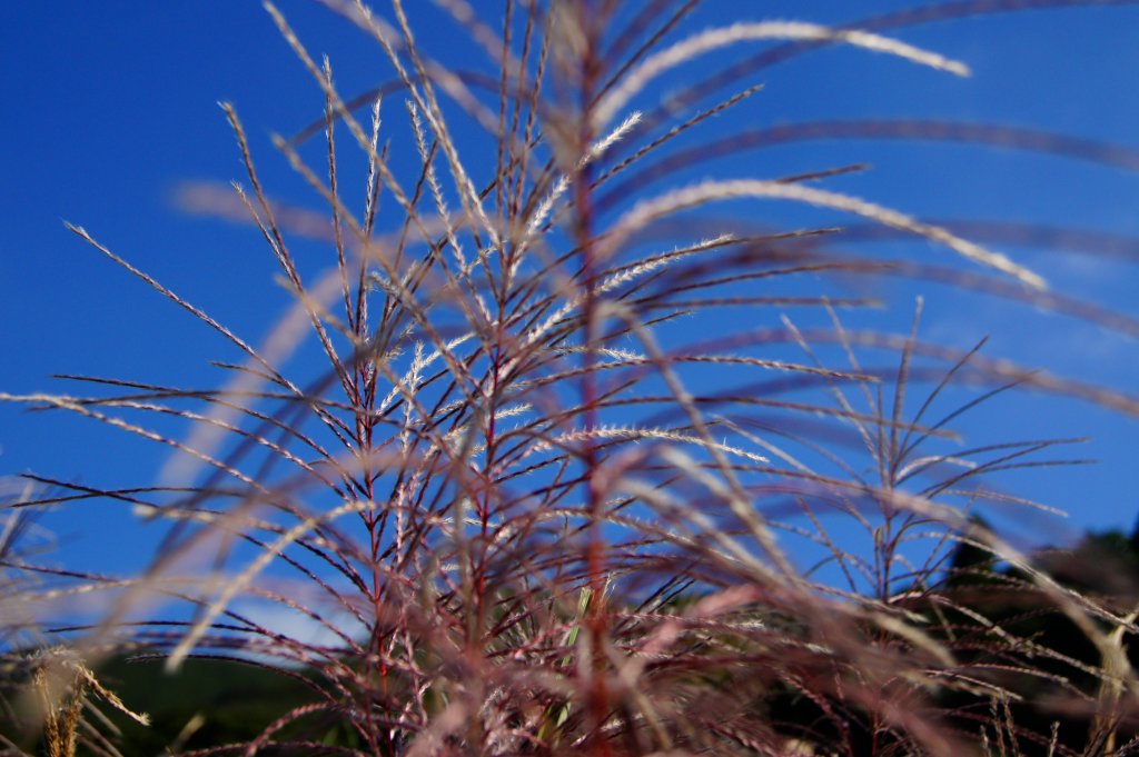 小觀音主峰O行走_445885