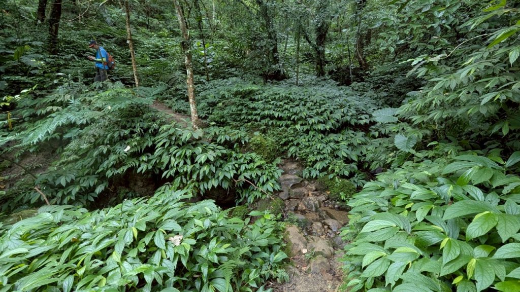 114.06.14雙石縱走&石門水庫-石牛山之旅_2812242