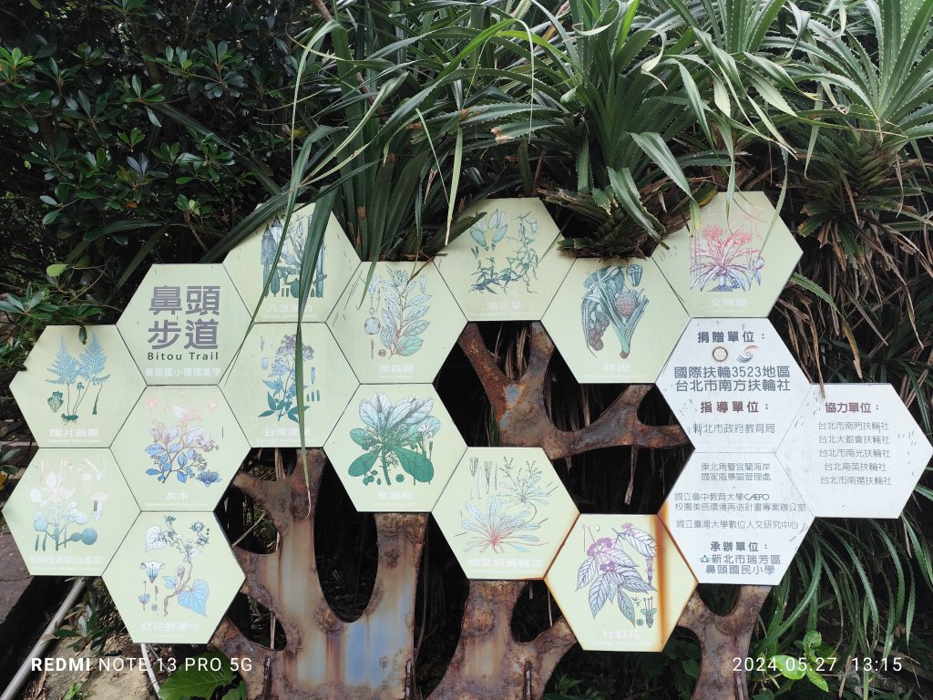 鼻頭角步道【踢不爛大地遊戲】、坑口小吃_2513525