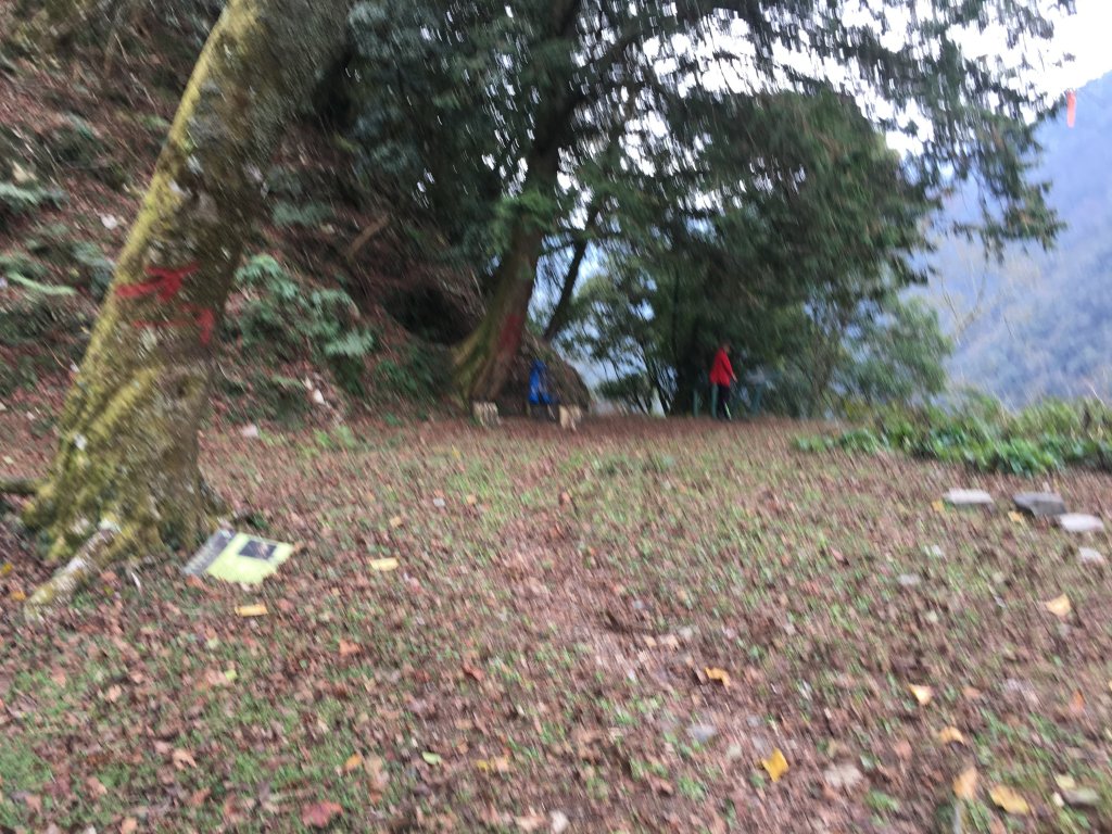 八通關山、八通關山西峰、秀姑巒山_525496