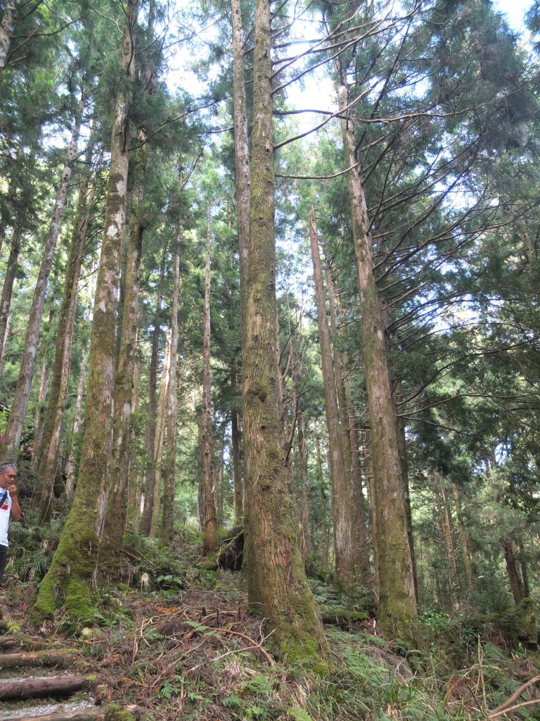 2018.9.19茂興國家步道之旅_1419216