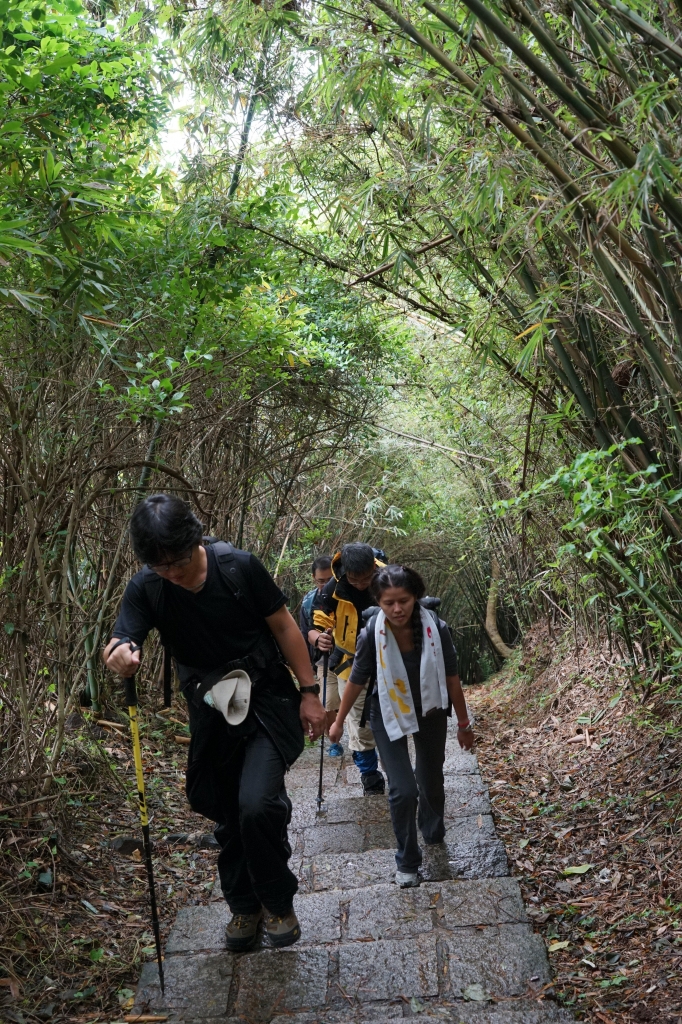 【步道小旅行】天母水管路步道_2734