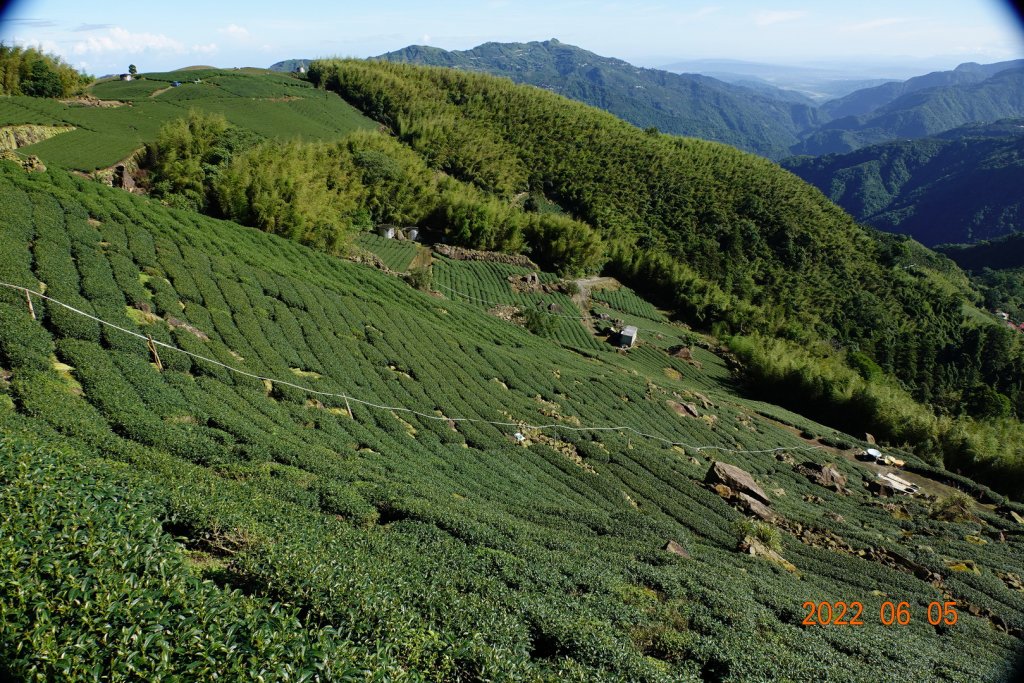 嘉義 竹崎 篤鼻山_1731382
