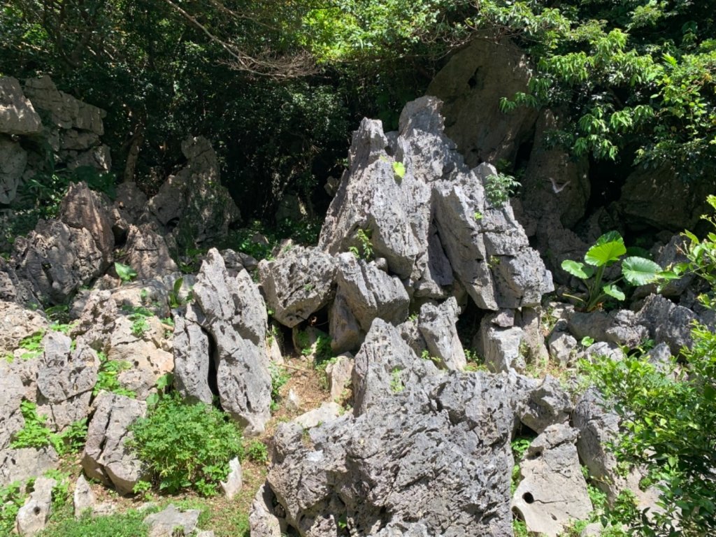 大石林山封面圖
