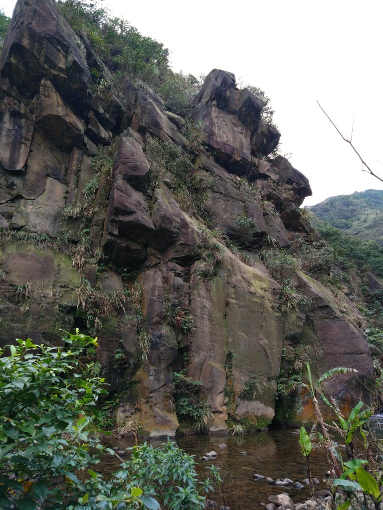 黃金七八稜_2433780