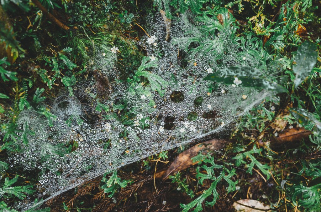 十七歲少女之湖｜松蘿湖包場露營_1408700