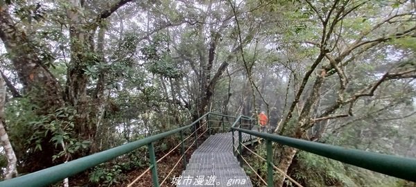 【花蓮壽豐】覺得是騎車來練膽量的。 小百岳集起來。編號89小百岳-鯉魚山步道_1750877