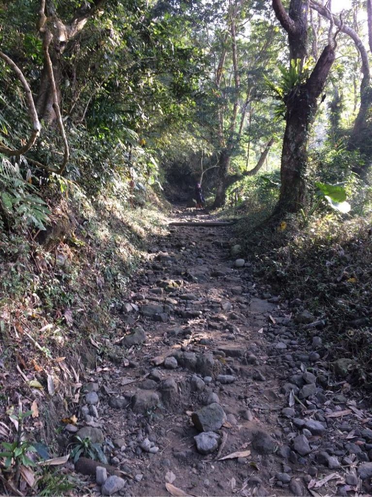 20180120-大凍山封面圖