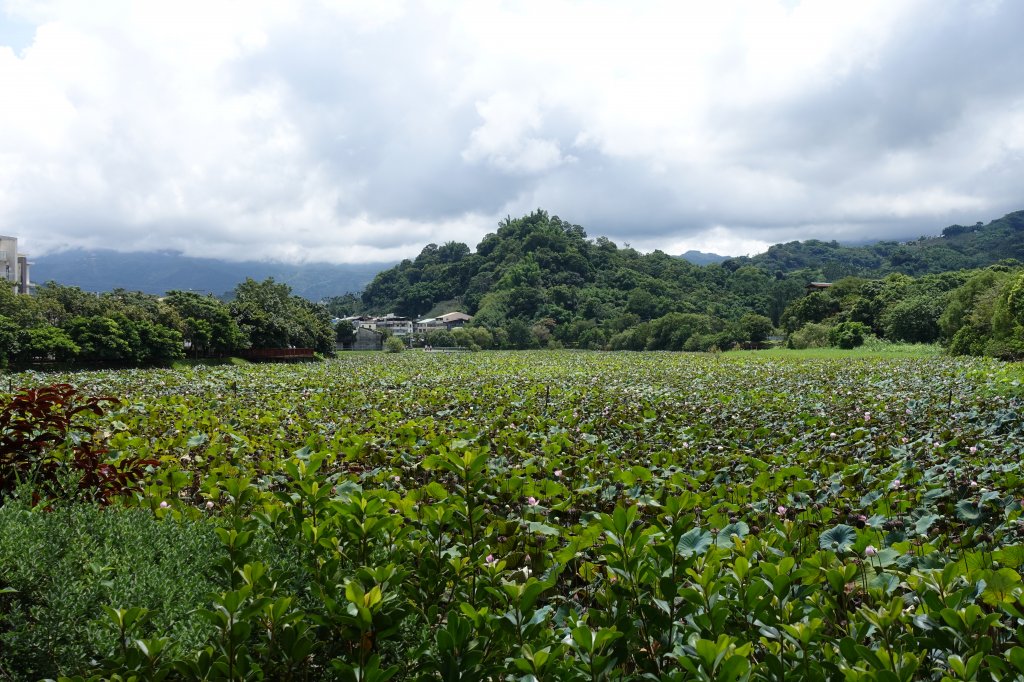 東勢林業文化園區_1078578