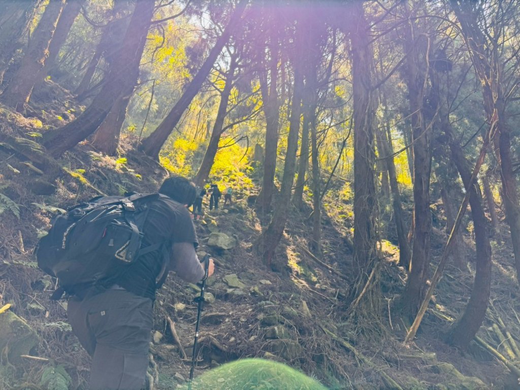 特富野古道>東水西峰>東水山>玉兒山>特富野古道（逆O)_2743763
