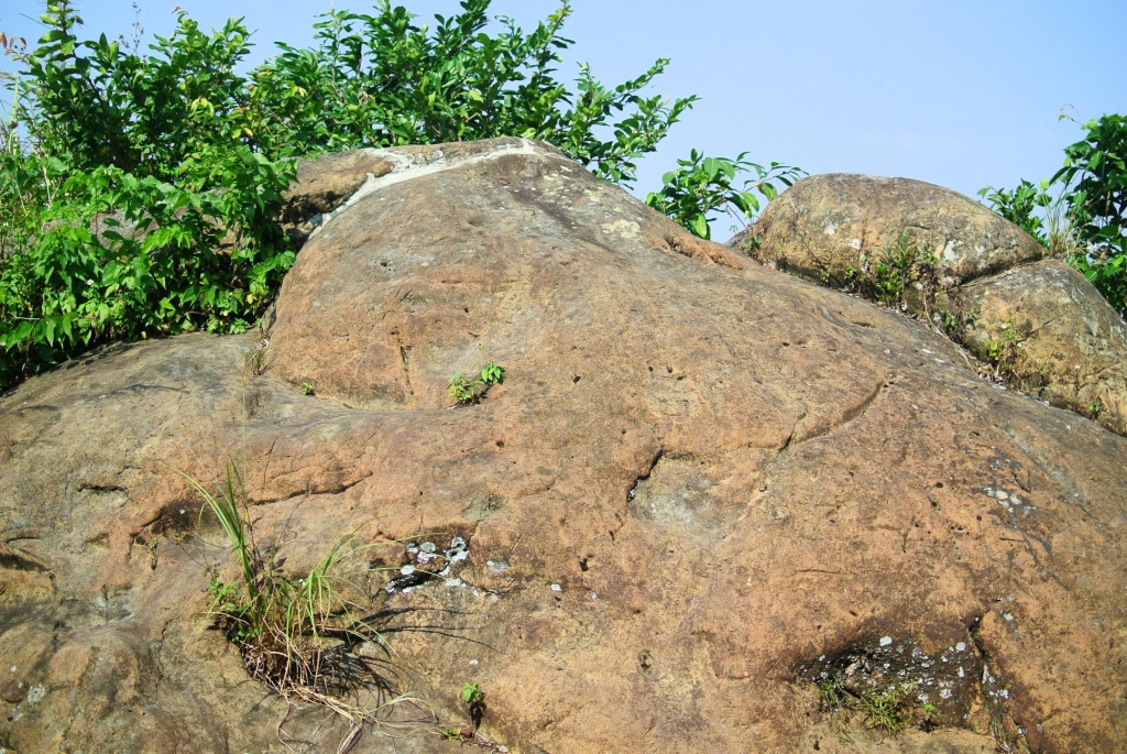 步道小旅行~仙跡岩步道漫遊_3172