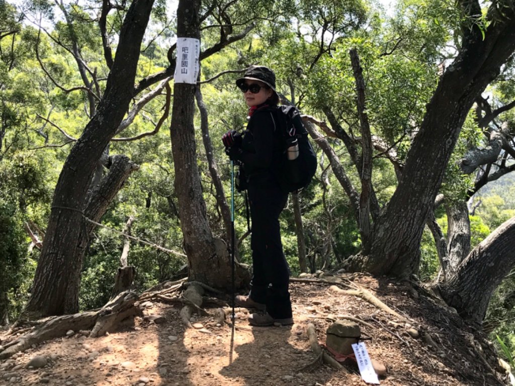 龍鳳連稜少隻鳳_1664419