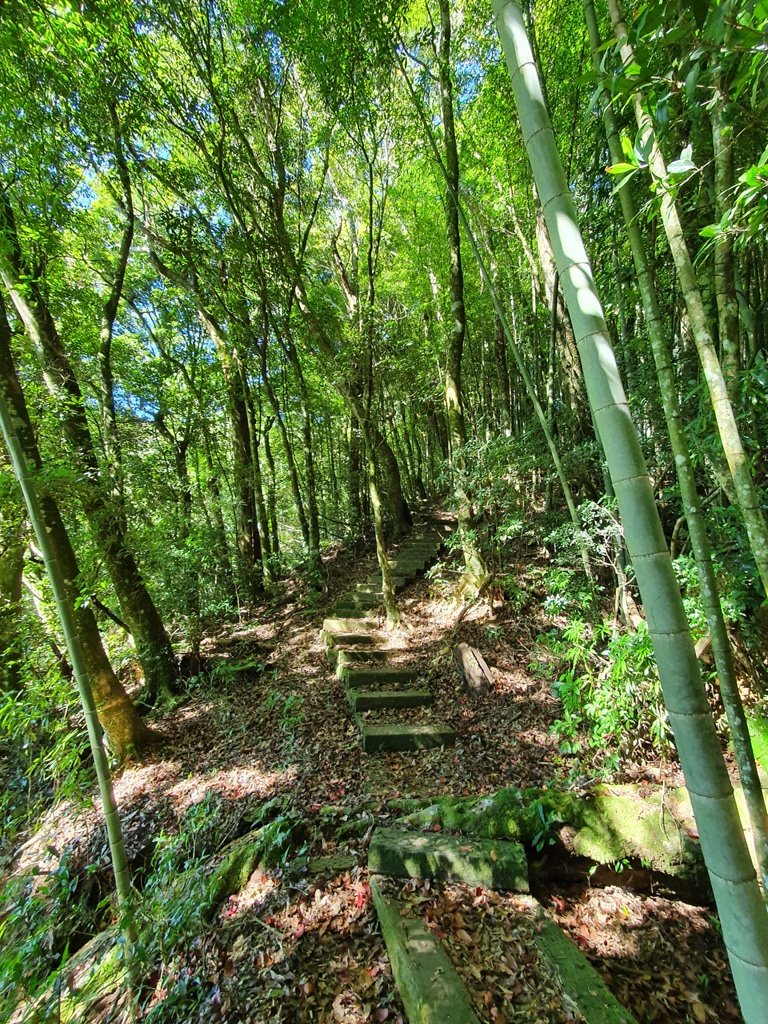 草嶺風情(石壁山,連心池,萬年峽谷)_1487147
