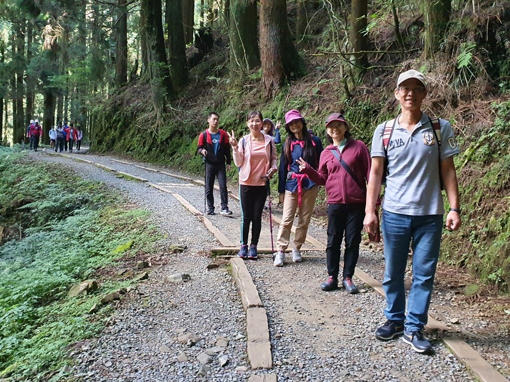 【阿里山】特富野古道_1093695