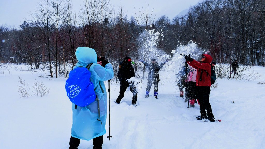 銀色冬眠的上高地封面圖