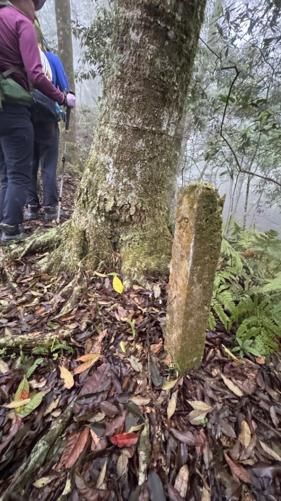 六龜警備線南段（藤枝-茂林）2天1夜_2758255