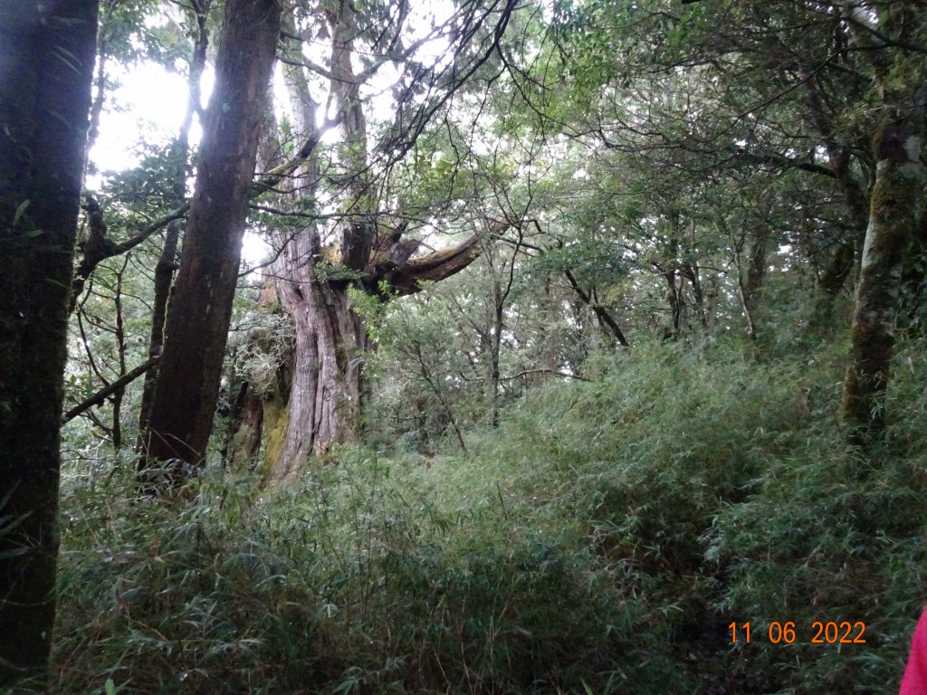 塔山（中塔山）_1901592