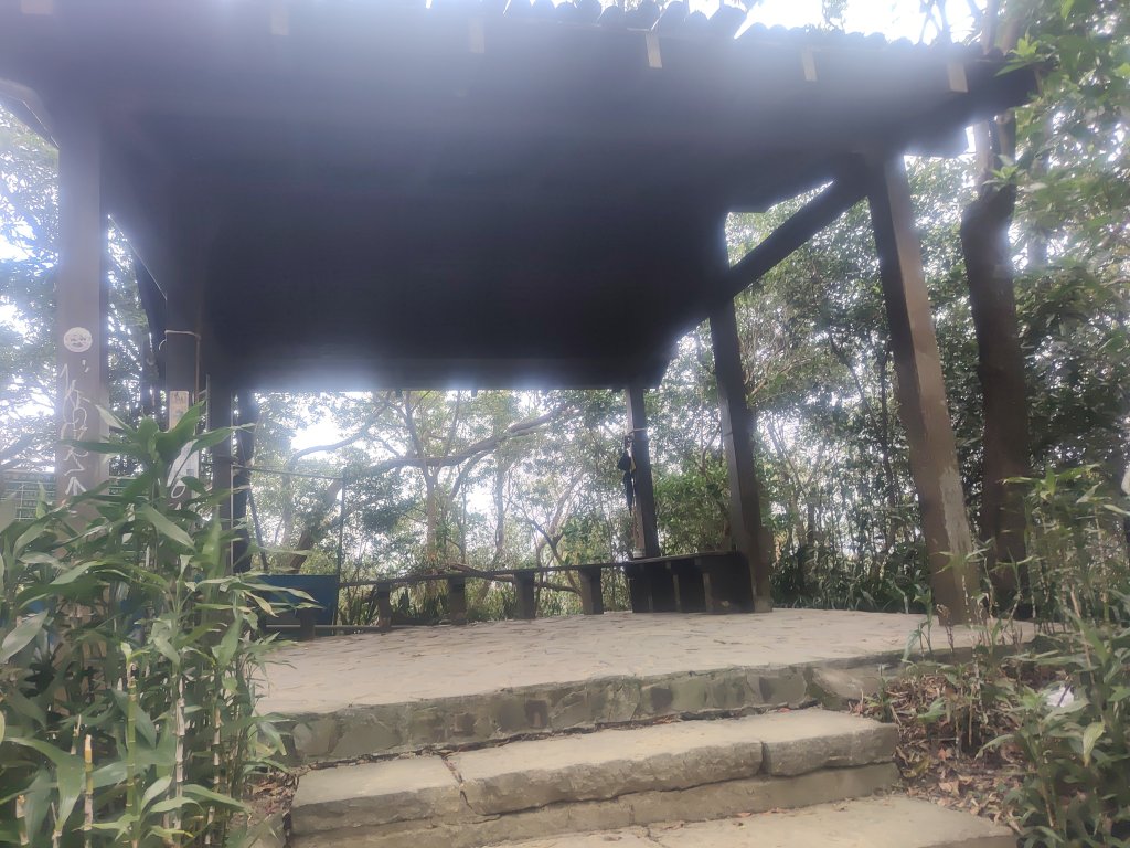 金面山親山步道_2664155