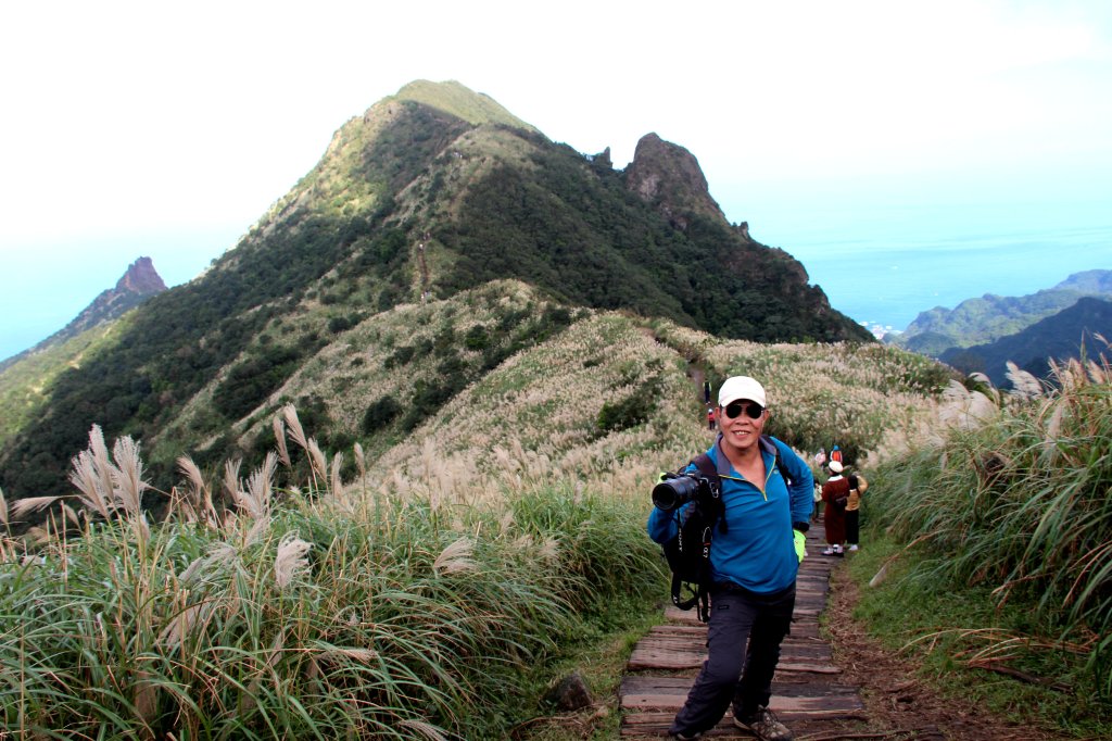 【金瓜石】漫山芒花怒放浪漫，礦山藍海奇景夢幻！_2964058