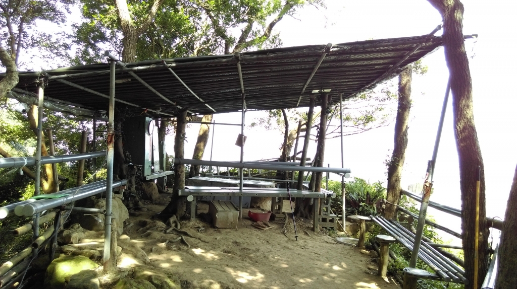 鳶山-福德坑山 105.06.24_50408