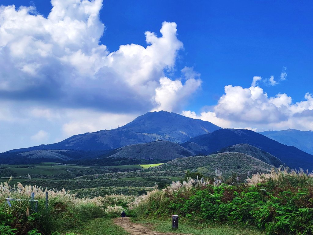 【芒花舞秋風】草山精典賞芒勝地連走_2336392