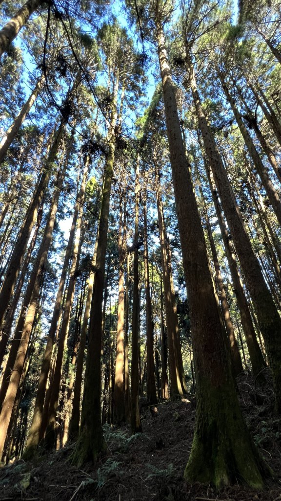 2024.12.29 特富野古道_2720702
