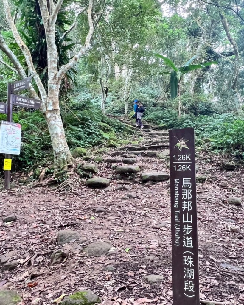 苗栗/馬那細道邦山-烏嘎彥竹林-水雲三星-鳥嘴山_2927139