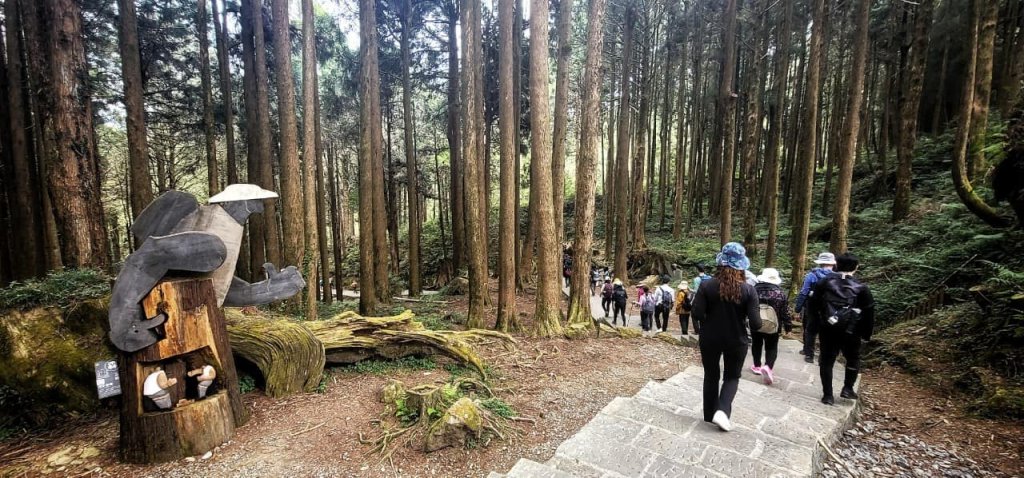 1130331阿里山-大塔山(小百岳)_2469038