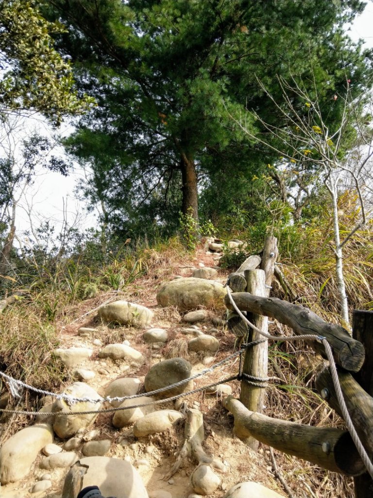 台中大坑4號步道上石苓湖山/黑山/黑山北_1251348