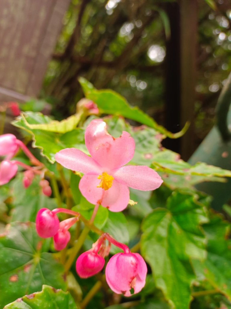 走遍陽明山_2192528