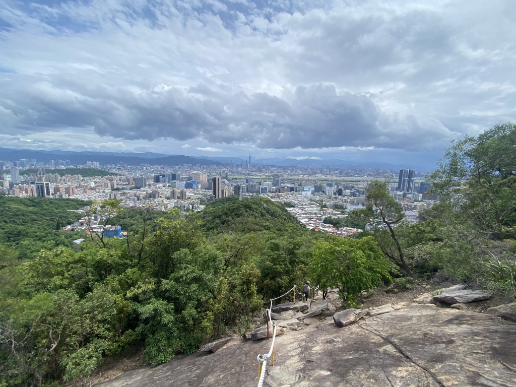 20240519金面山親山步道_2508064