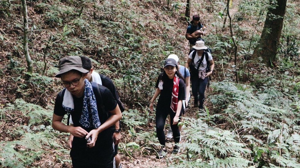 油羅山・羅山林道｜豪華露營、悠閒健行_1043964