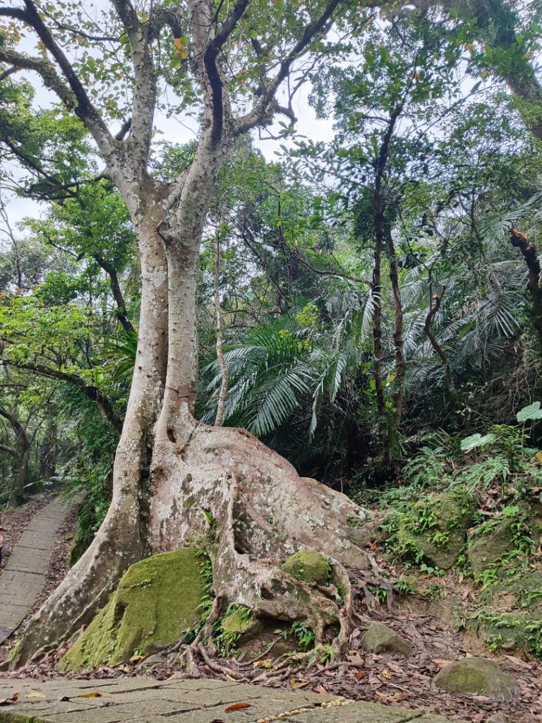 淡蘭南路2+1逆走_2671838