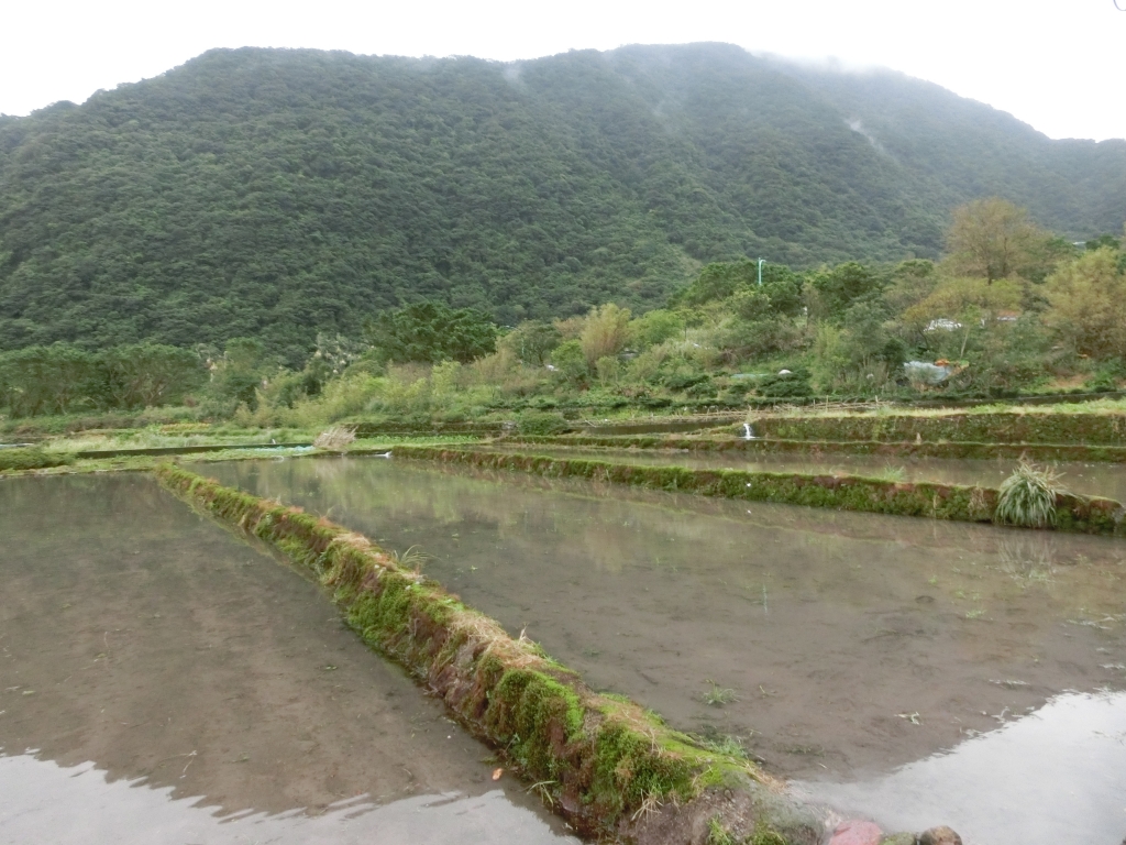 魚路古道（天籟八煙段）．八煙聚落_95109