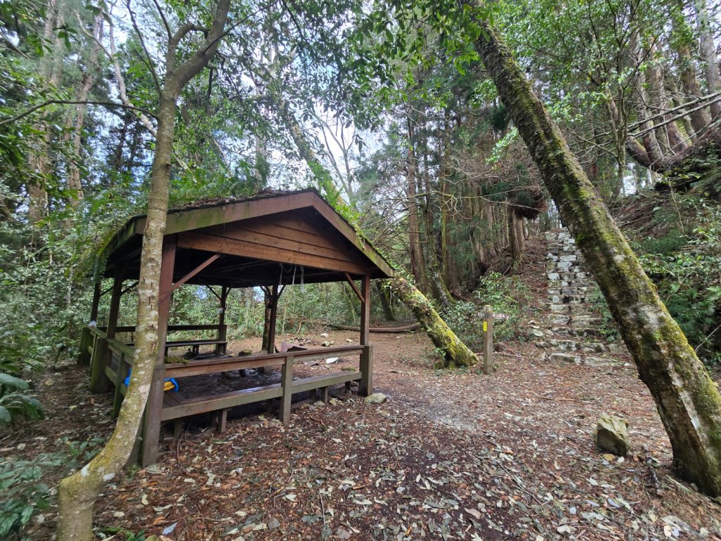 谷關七熊馬崙山_2748794