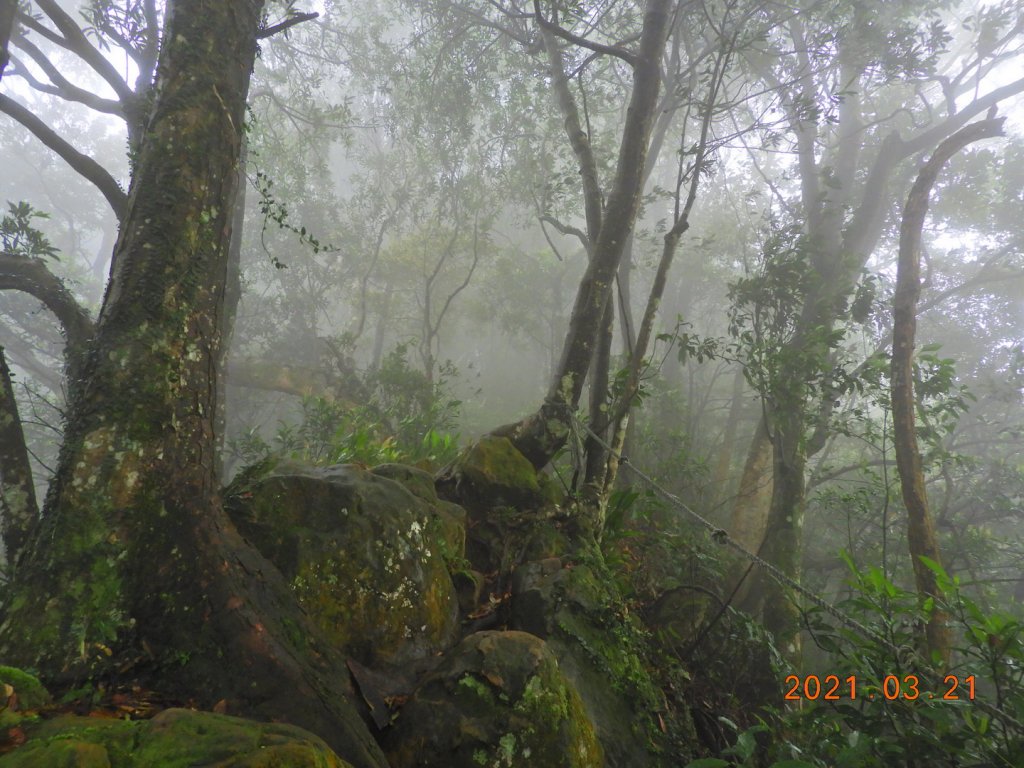 桃園 大溪 金面山、金山面山_1315387