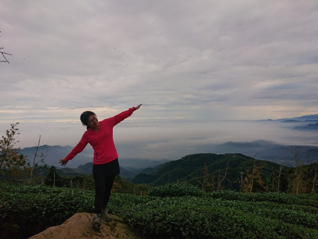貓空望山、嶺頭山、金柑樹山（小百岳）、忘憂森林_1896983