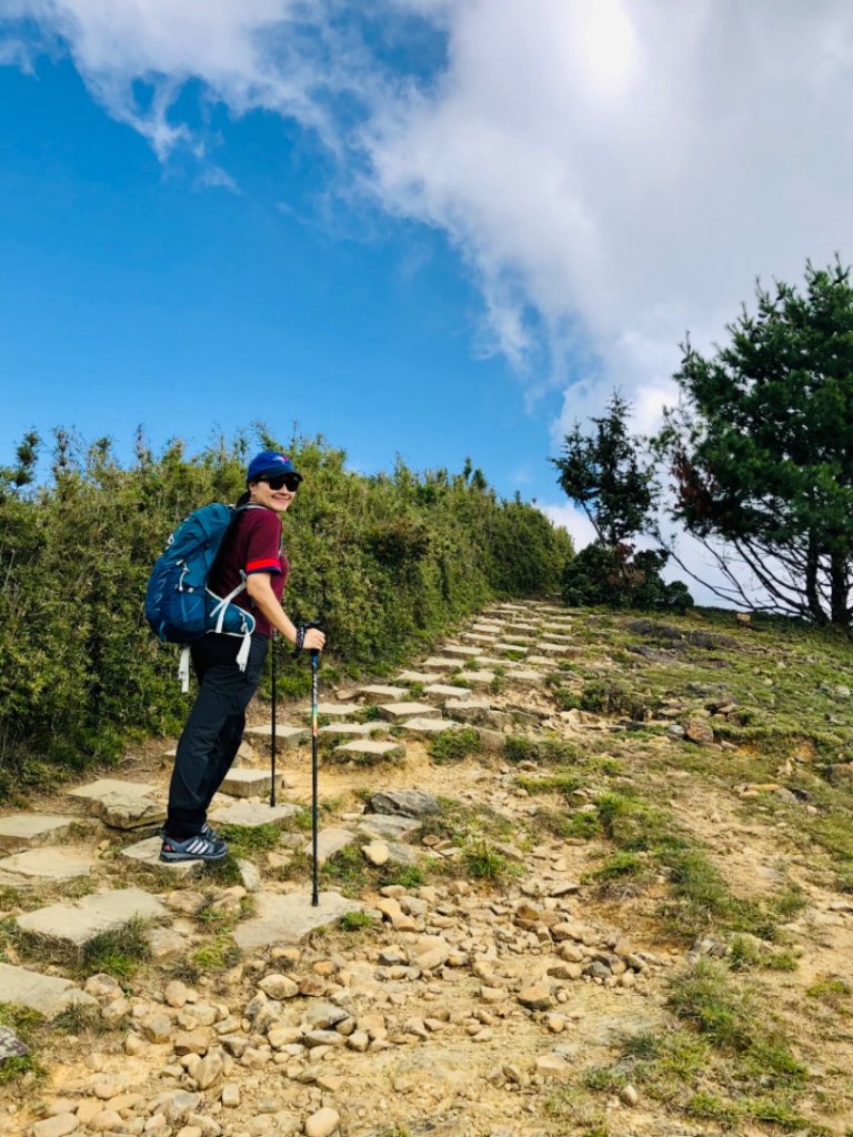 輕鬆享大景—鹿林山/麟趾山連走_1486639