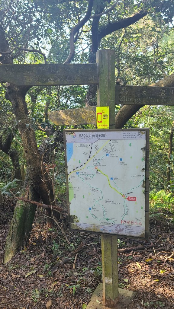 2025-0204 鶯歌_大凍山_三角埔頂山_迴龍_2708001